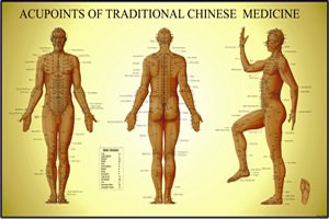 Acupuncture Chart